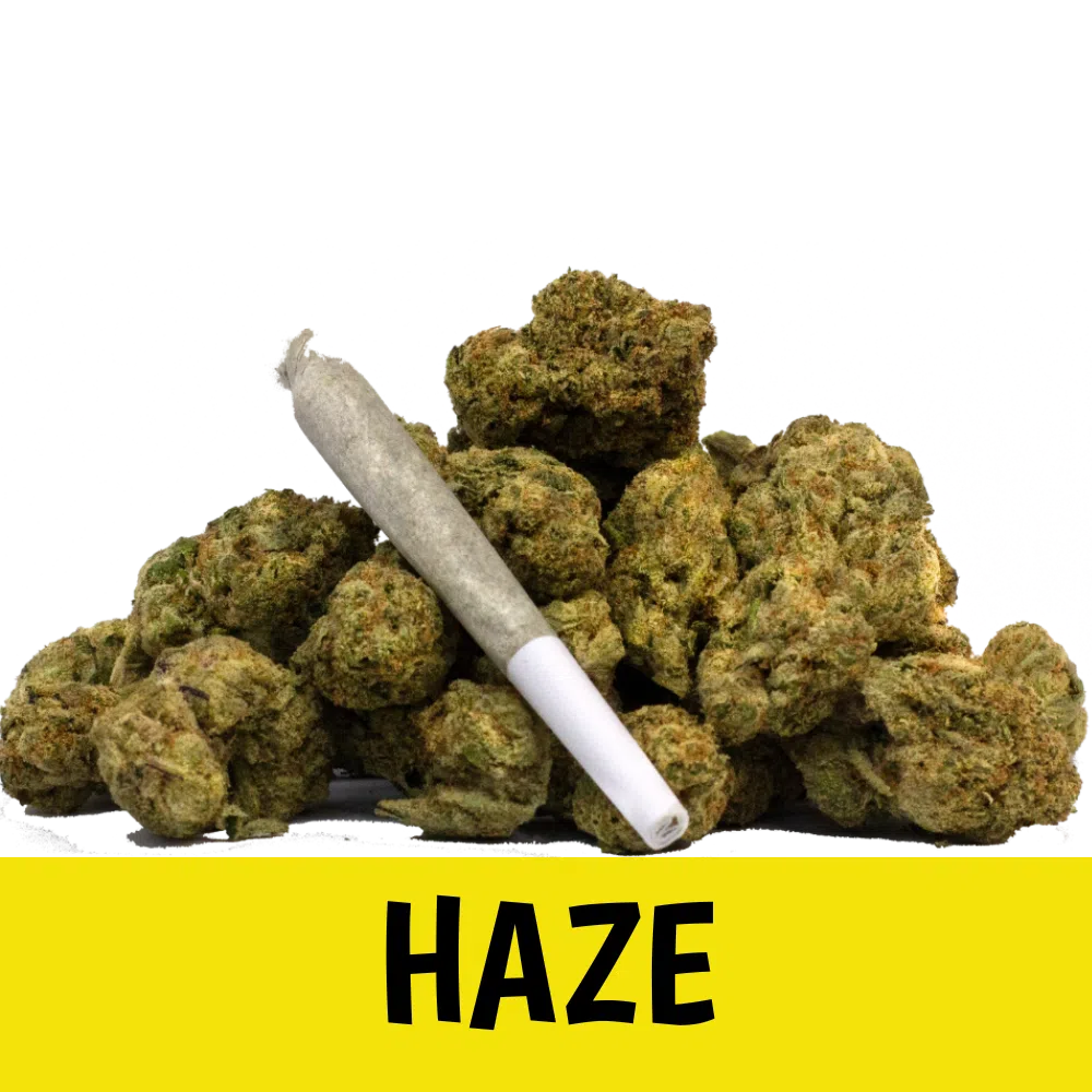 Premium Joint – Haze – 0.8g (Sativa) Premium Joint – Haze – 0.8g (Sativa)