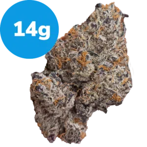 14g - French Laundry by Maven Genetics (Indica)