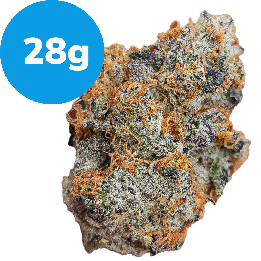 28g – French Laundry by Maven Genetics (Indica) 28g – French Laundry by Maven Genetics (Indica)