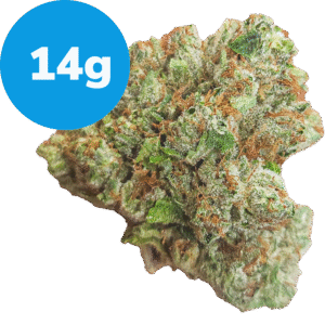 14g – King Louis OG (Indica) 14g - King Louis OG (Indica)