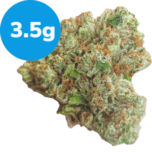 3.5g – King Louis (Indica) 3.5g - King Louis (Indica)