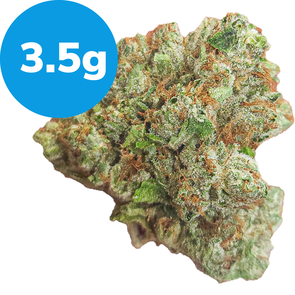 3.5g – King Louis (Indica) 3.5g – King Louis (Indica)