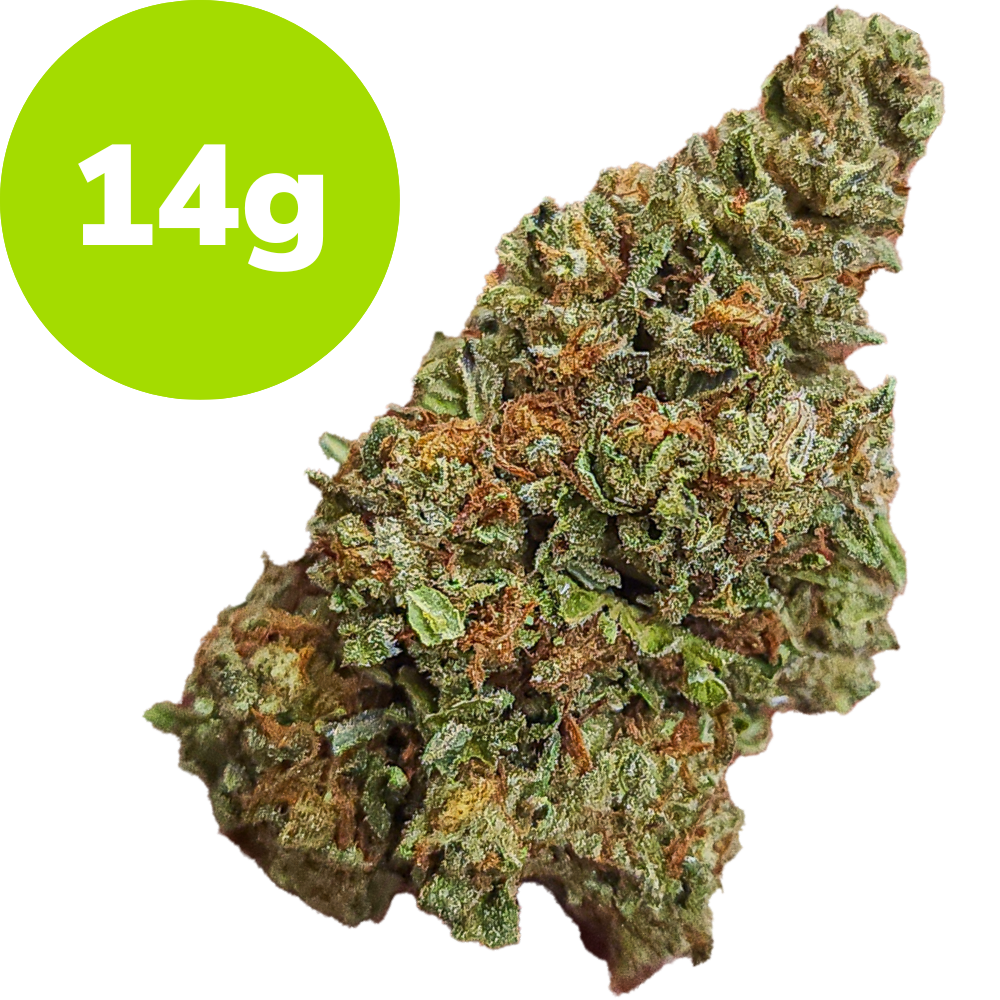 14g – O.G. Kush (Hybrid)