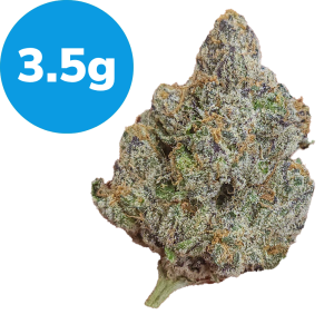 3.5 - Voltage (Indica)