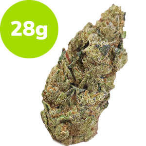28g - E85 (Hybrid)