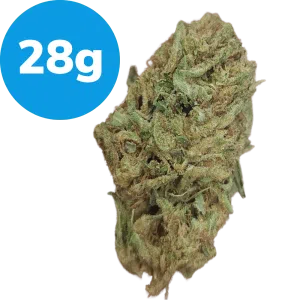 28g - Gush Mintz (Indica)