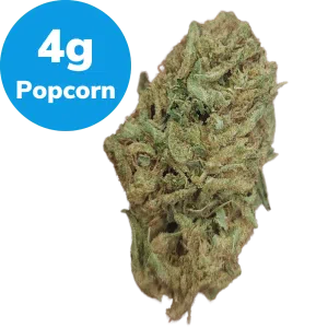 4g - Gush Mintz - Popcorn Buds (Indica)