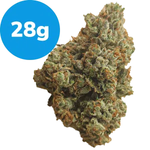 28g - King Louis (Indica)