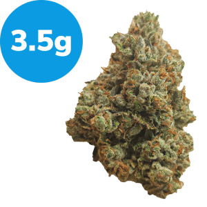 3.5g - King Louis (Indica)