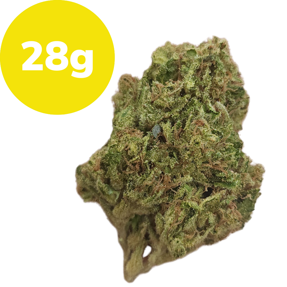 28g – Northern Skunk (Sativa) 28g – Northern Skunk (Sativa)
