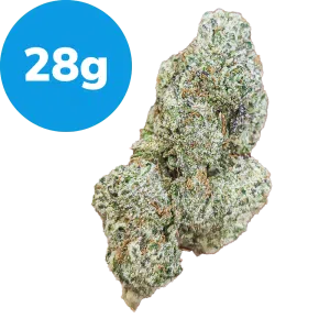 28g - Runtz (Indica)