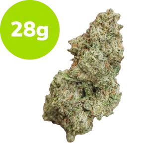 28g - Street Tart (Hybrid)