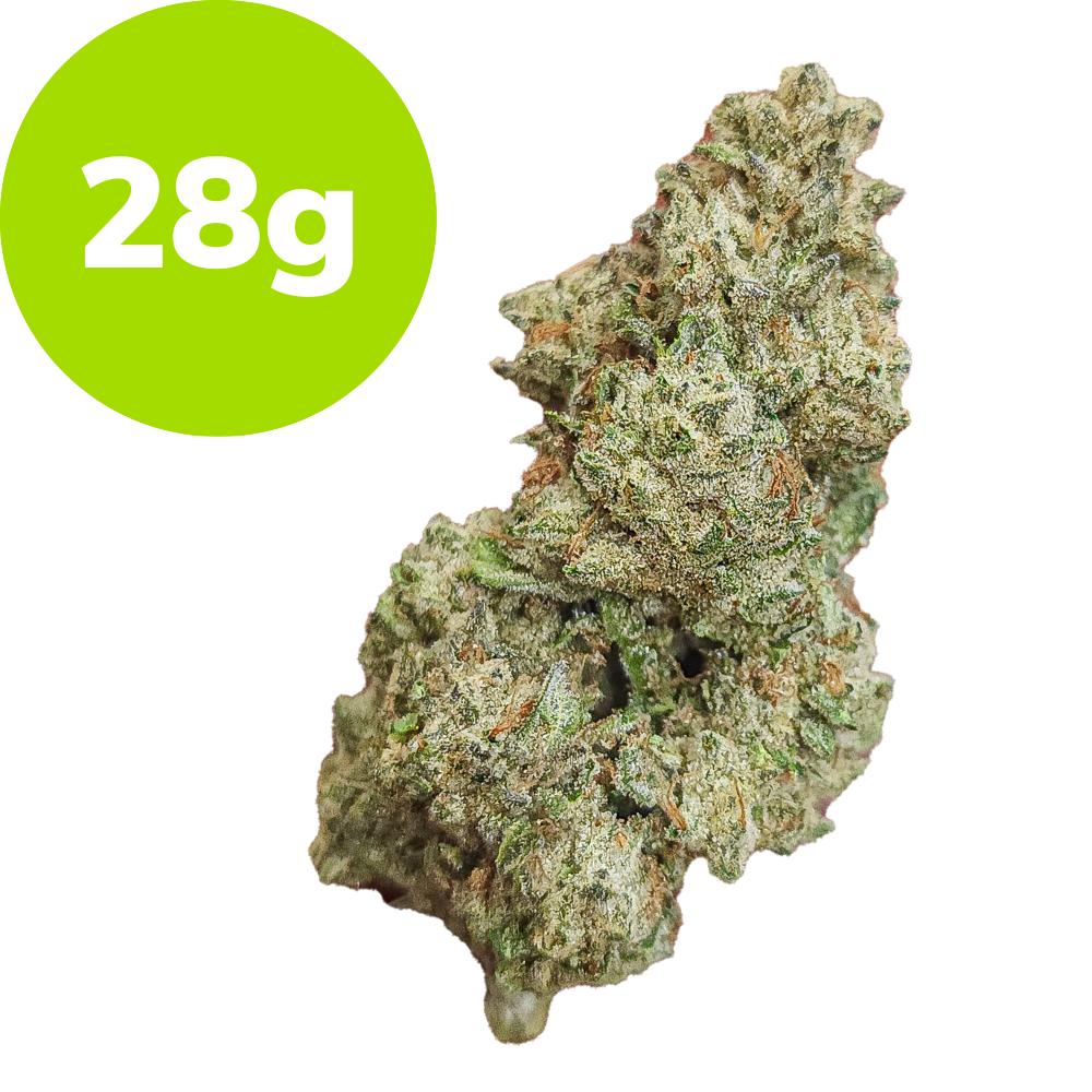 28g – Splash (Hybrid)
