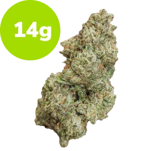 14g - Splash (Hybrid)