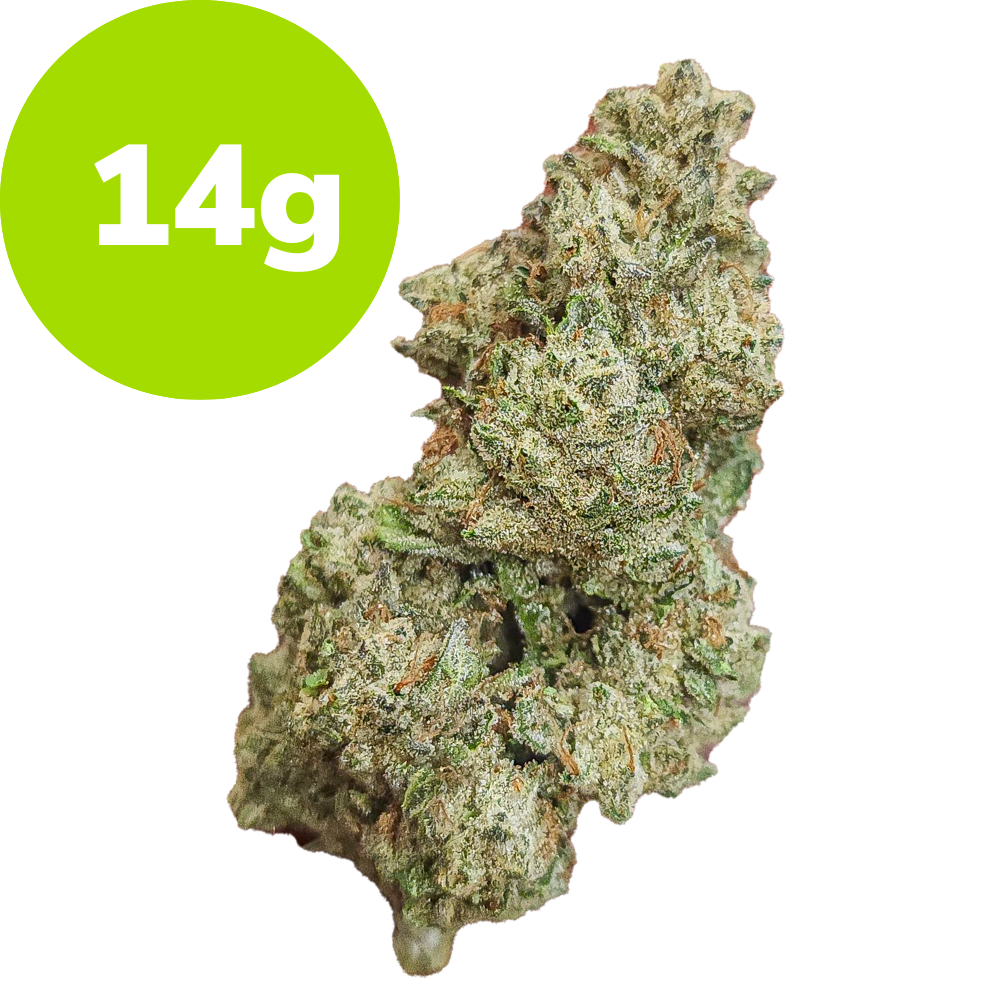 14g – Splash (Hybrid)