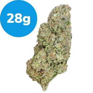 28g - White Rhino (Indica)