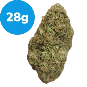 28g - Modified Muffin (Hybrid)