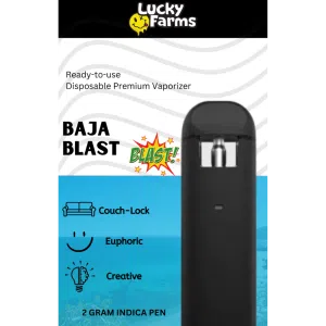 2g - Baja Blast Disposable Pen (Indica)