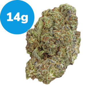 14g - Cookies Kush (Indica)