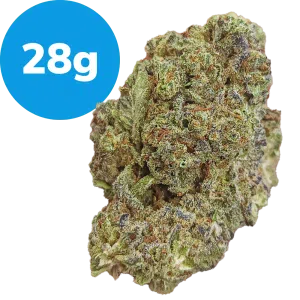 28g - Cookies Kush (Indica)
