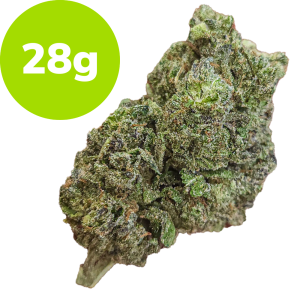 28g - Georgia Pie (Hybrid)