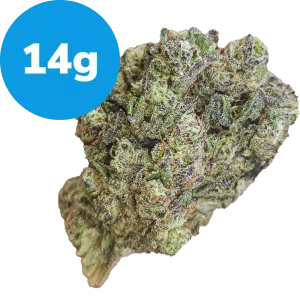 14g - Ice Cream Mintz (Indica)