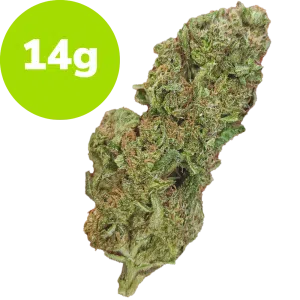 14g - London Marker (Hybrid)
