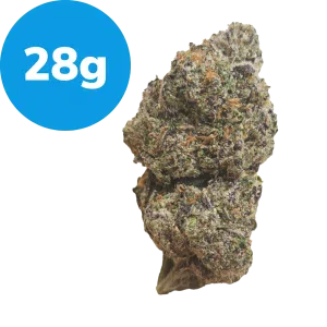 28g - Purple Lemon Cherry Gelato (Indica)