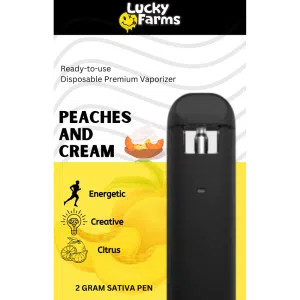 2g - Peaches and Cream Disposable Pen (Sativa)