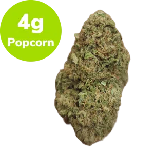 4g - Stardawg (Hybrid)