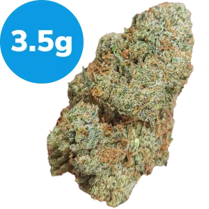 3.5 - Story OG (Indica)