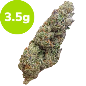 3.5g - Tropical Gelato (Hybrid)