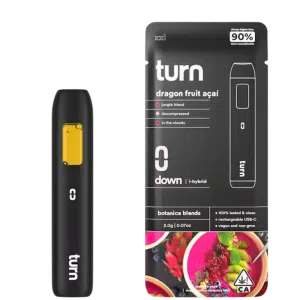 Turn - 2g Dragon Fruit Acai Disposable (Hybrid)