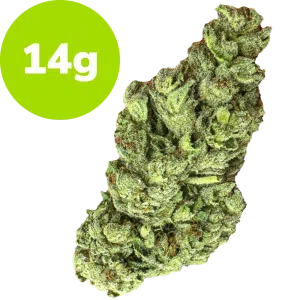 14g - Gelato 33 (Hybrid)