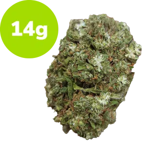 14g - Lemon Diesel (Hybrid)
