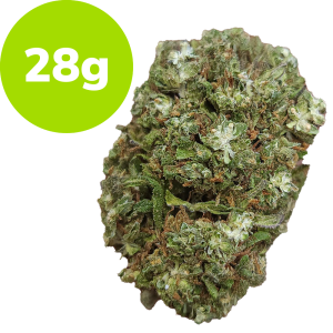 28g - Lemon Diesel - LOWS (Hybrid)