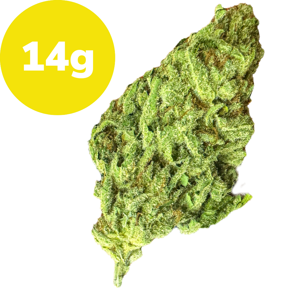 14g – Blue Dream (Sativa)