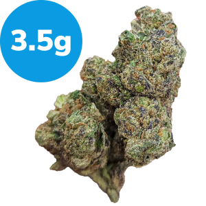 3.5g - Purple Martian (Indica)