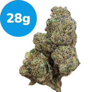 28g - Purple Martian (Indica)