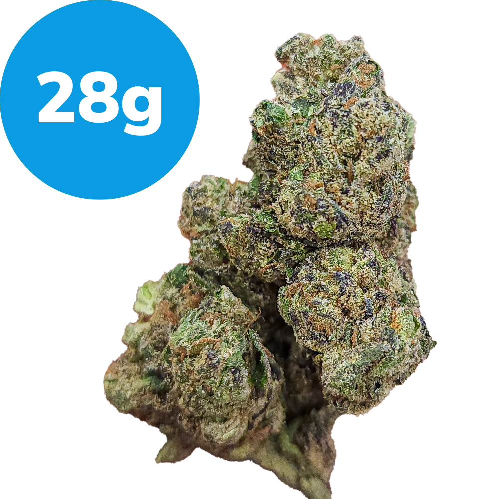 28g – Purple Martian (Indica) 28g – Purple Martian (Indica)