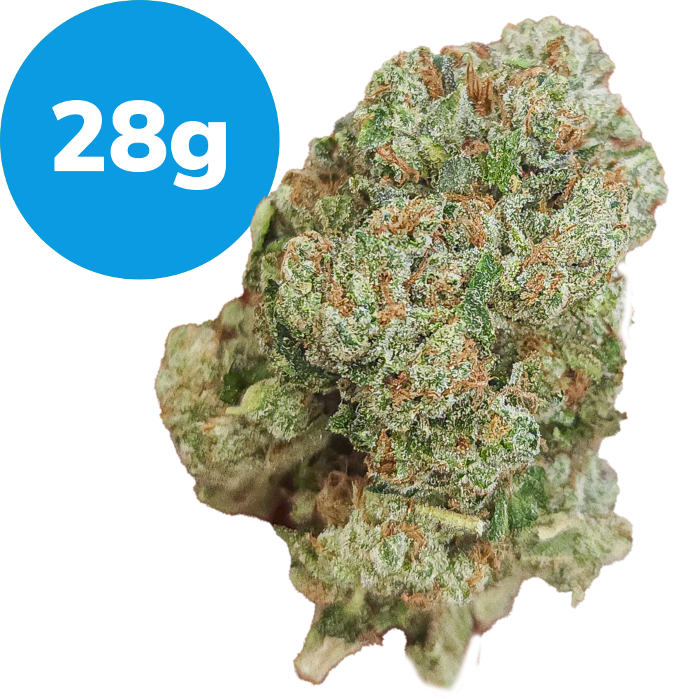 28g – BTY OG (Indica) 28g – BTY OG (Indica)