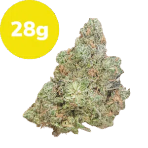 28g - Blue Dream (Sativa)