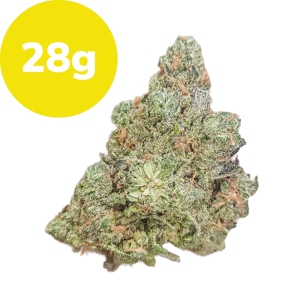28g – Blue Dream (Sativa)