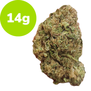 14g – RS11 (Hybrid) 14g - RS11 (Hybrid)