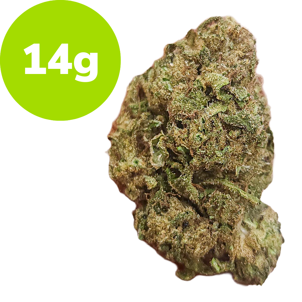 14g – RS11 (Hybrid) 14g – RS11 (Hybrid)