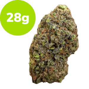 28g - G41 (Hybrid)