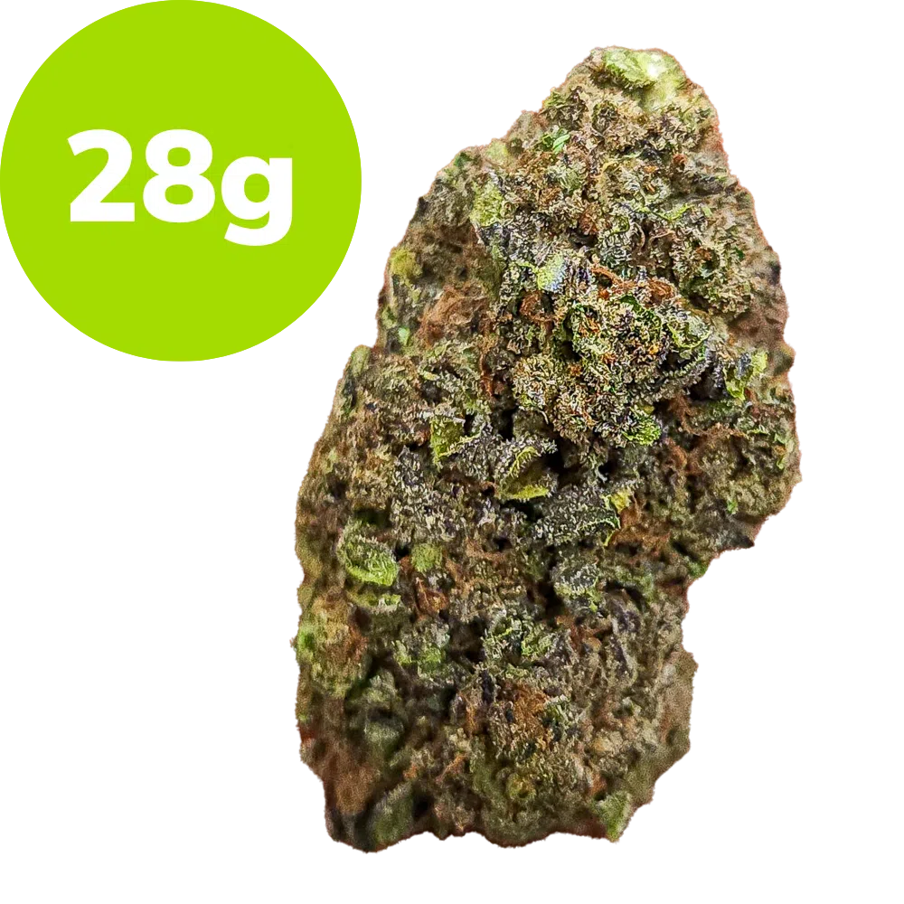 28g – G41 (Hybrid) 28g – G41 (Hybrid)