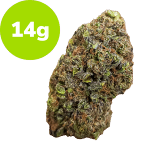 14g - G41 (Hybrid)