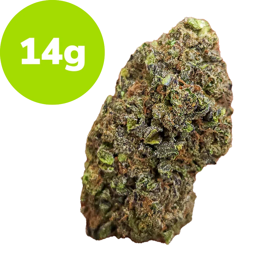 14g – G41 (Hybrid) 14g – G41 (Hybrid)