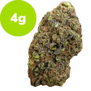 4g – G41 – Popcorn Buds (Hybrid) 4g - G41 - Popcorn Buds (Hybrid)